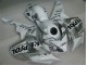 Carénage Moto Honda CBR 1000 RR 04-05 - Blanc Argent Noir Repsol