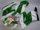 Carénage Moto Honda CBR 1000 RR 04-05 - Vert Blanc