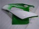 Carénage Moto Honda CBR 1000 RR 04-05 - Vert Blanc