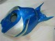 Carénage Moto Honda CBR 1000 RR 06-07 - Bleu Argent Carénage Moto Honda CBR 1000 RR 06-07 - Bleu Argent