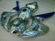 Carénage Moto Honda CBR 1000 RR 06-07 - Bleu Flamme Argent