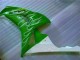 Carénage Moto Honda CBR 1000 RR 06-07 - Vert Carénage Moto Honda CBR 1000 RR 06-07 - Vert