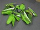 Carénage Moto Kawasaki EX250 08-12 - Vert Blanc Noir Ninja Carénage Moto Kawasaki EX250 08-12 - Vert Blanc Noir Ninja