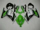 Carénage Moto Kawasaki EX300 13-16 - Vert Noir Argent Carénage Moto Kawasaki EX300 13-16 - Vert Noir Argent