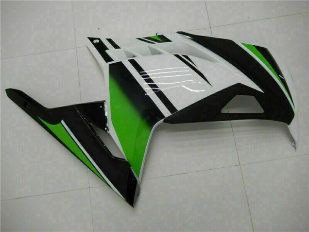 Carénage Moto Kawasaki EX300 13-16 - Vert Noir Argent Carénage Moto Kawasaki EX300 13-16 - Vert Noir Argent
