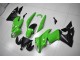 Carénage Moto Kawasaki EX650 09-11 - Vert Noir