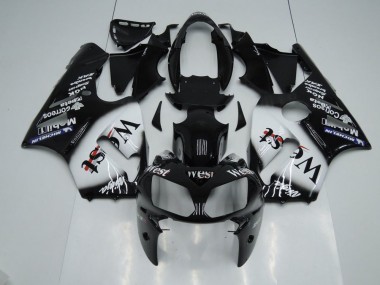 Carénage Moto Kawasaki ZX12R 02-06 - West