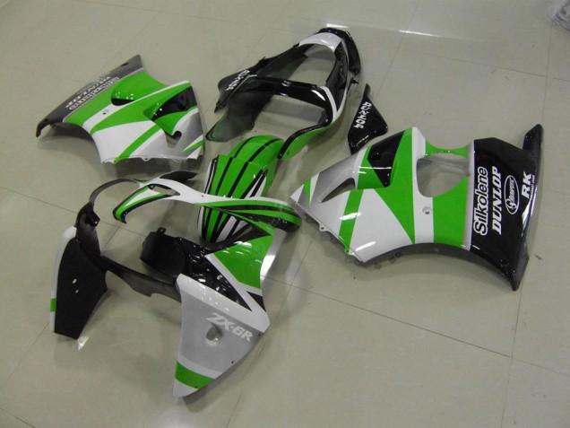 Carénage Moto Kawasaki ZX6R 00-02 - Vert Blanc Bande Carénage Moto Kawasaki ZX6R 00-02 - Vert Blanc Bande