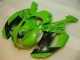 Carénage Moto Kawasaki ZX6R 07-08 - Vert Noir Dunlop Carénage Moto Kawasaki ZX6R 07-08 - Vert Noir Dunlop