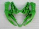 Carénage Moto Suzuki GSXR 1000 K5 05-06 - Vert Carénage Moto Suzuki GSXR 1000 K5 05-06 - Vert