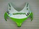 Carénages Moto Honda CBR 1000 RR 08-11 - Vert Blanc
