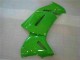 Carénages Moto Kawasaki EX650 06-08 - Vert