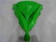 Carénages Moto Kawasaki EX650 06-08 - Vert Noir Carénages Moto Kawasaki EX650 06-08 - Vert Noir