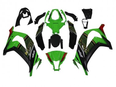 Carénages Moto Kawasaki ZX10R 11-15 - Vert Noir
