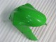 Carénages Moto Kawasaki ZX6R 05-06 - Vert Carénages Moto Kawasaki ZX6R 05-06 - Vert