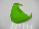 Carénages Moto Kawasaki ZX6R 05-06 - Vert Noir Carénages Moto Kawasaki ZX6R 05-06 - Vert Noir