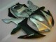 Carénages Moto Yamaha R1 02-03 - Argent