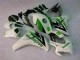 Carrosserie Moto Honda CBR 1000 RR 08-11 - Vert Blanc Carrosserie Moto Honda CBR 1000 RR 08-11 - Vert Blanc