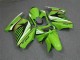 Carénage Moto Kawasaki EX250 2008-2012 - Vert Blanc Noir