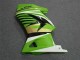 Carénage Moto Kawasaki EX250 2008-2012 - Vert Blanc Noir